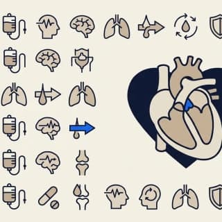 NCLEX Pharmacology Cheat Sheet: 50 Must-Know Drugs Organized by Body System